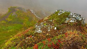 о.Сахалин. Сложное восхождение (хайкинг) на хребет ЖДАНКО 2025