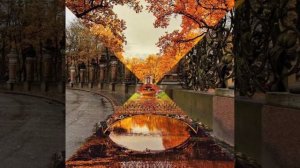 Альбом 2019 группа Сентябрь