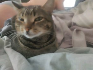 ОРГАНИЗОВКА ВЕЧЕРИНКИ(моей с Артёмом)