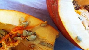 Начинка для пирожков из тыквы