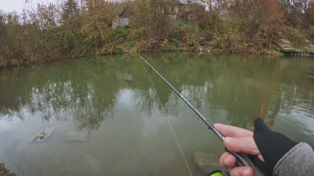 Елец на спиннинг в октябре. Не количеством, а качеством
