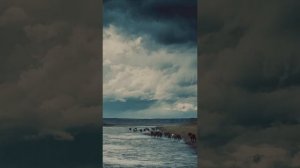 Дон, Дон... ст. Ларисы Ромашкиной