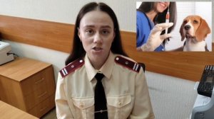 День животных. Зоонозы