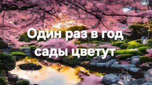 Один раз в год сады цветут