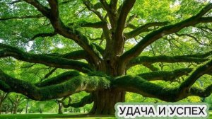 Музыка для привлечения удачи и успеха