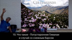 10. Что такое - Потусторонние Гималаи и случай со снежным барсом