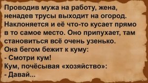 Кума бегом прибежала к куму. Сборник анекдотов