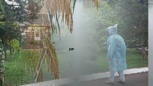 А пошли по лебедям))) Горячий Ключ 2025