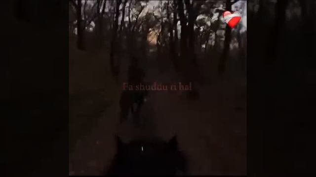 КРАСИВЫЙ НАШИД❤️🩹❤️🔥