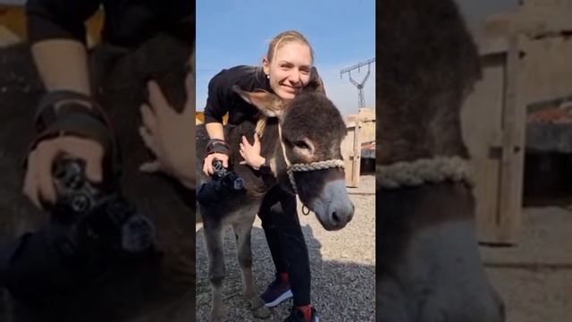 Крик о помощи