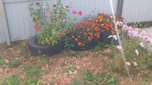 закрытие сезона 2025.mp4