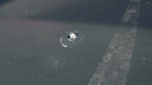 ФАКТЫ. Выпуск от 06.10.2025