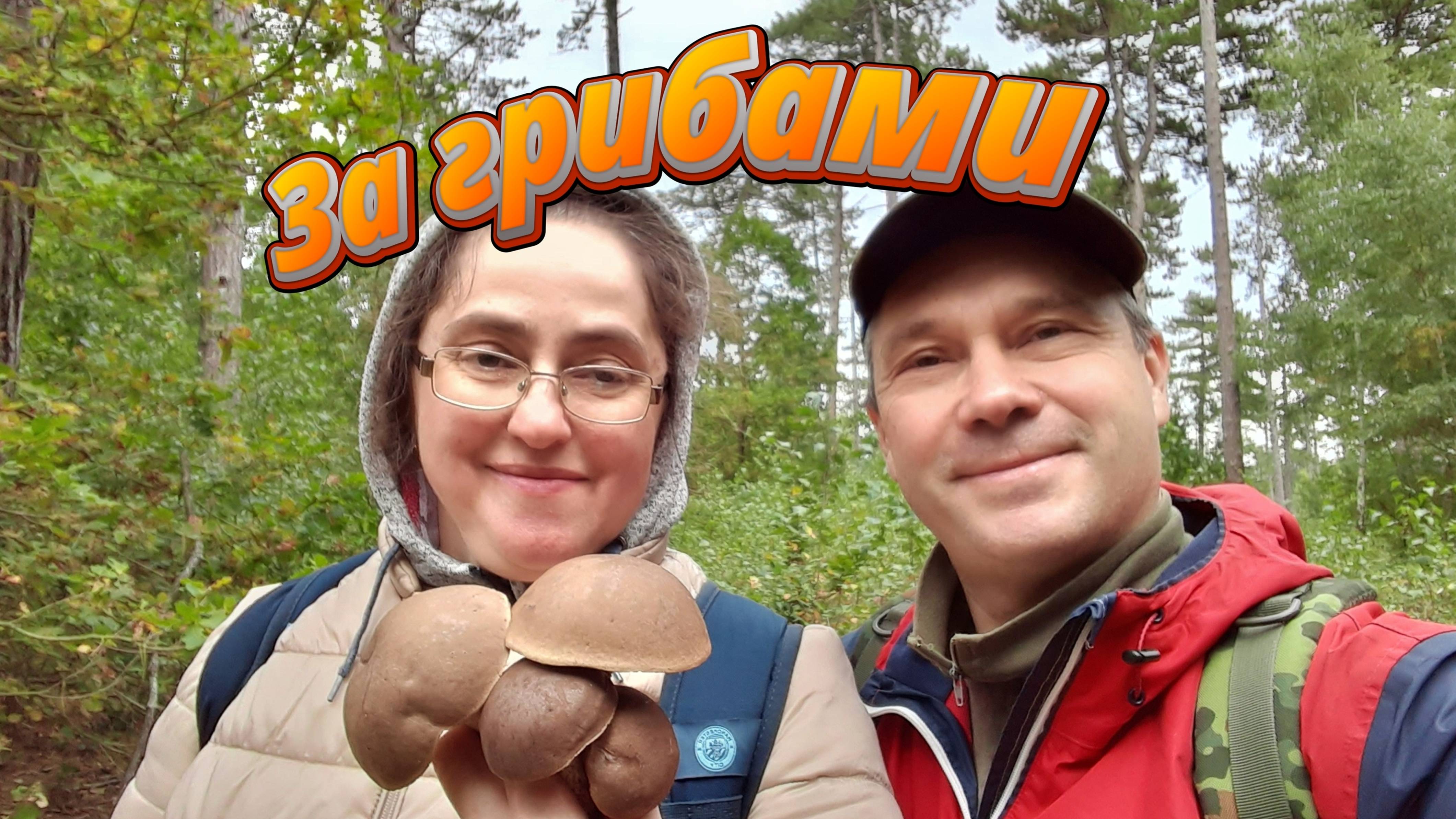 За белыми грибами.