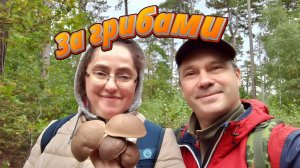 За белыми грибами.