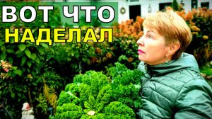 Приехала и обалдела, прям расстроилась. Такого не ожидали. Кому то попало, а зря ругалась.