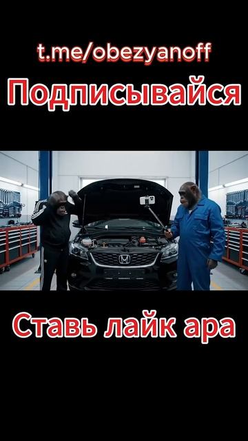 Братья Обезьяновы открыли автосервис смотреть онлайн