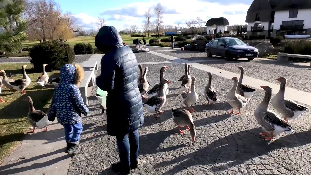 04 02 2020 смотреть онлайн