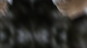 Vasilii CECEGOV - Первый снег