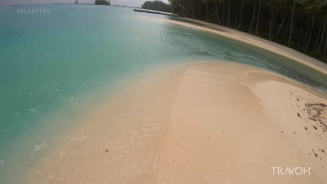 Моту Тане, Бора-Бора - Прогулка по тропическому острову, океанский пляж, природа. 🇵🇫 смотреть онлайн