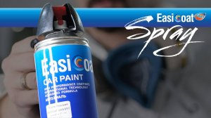 EASI COAT paint spray.