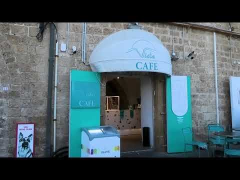 Старый город Яффо смотреть онлайн