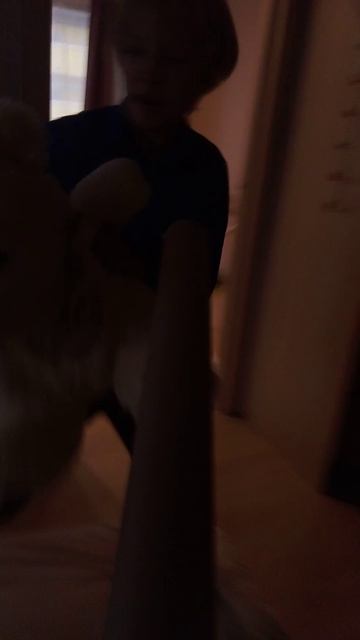 воздушный кальмар