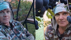 Топлю печь ,солю грибы ,гуляем и пою .