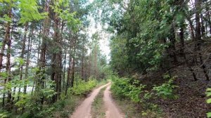 Дорога у озера