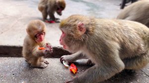То чистит дочке глаза, то луком в них тычет, то со спины скидывает. Мила Сан ОЧЕНЬ СТРАННАЯ мать!
