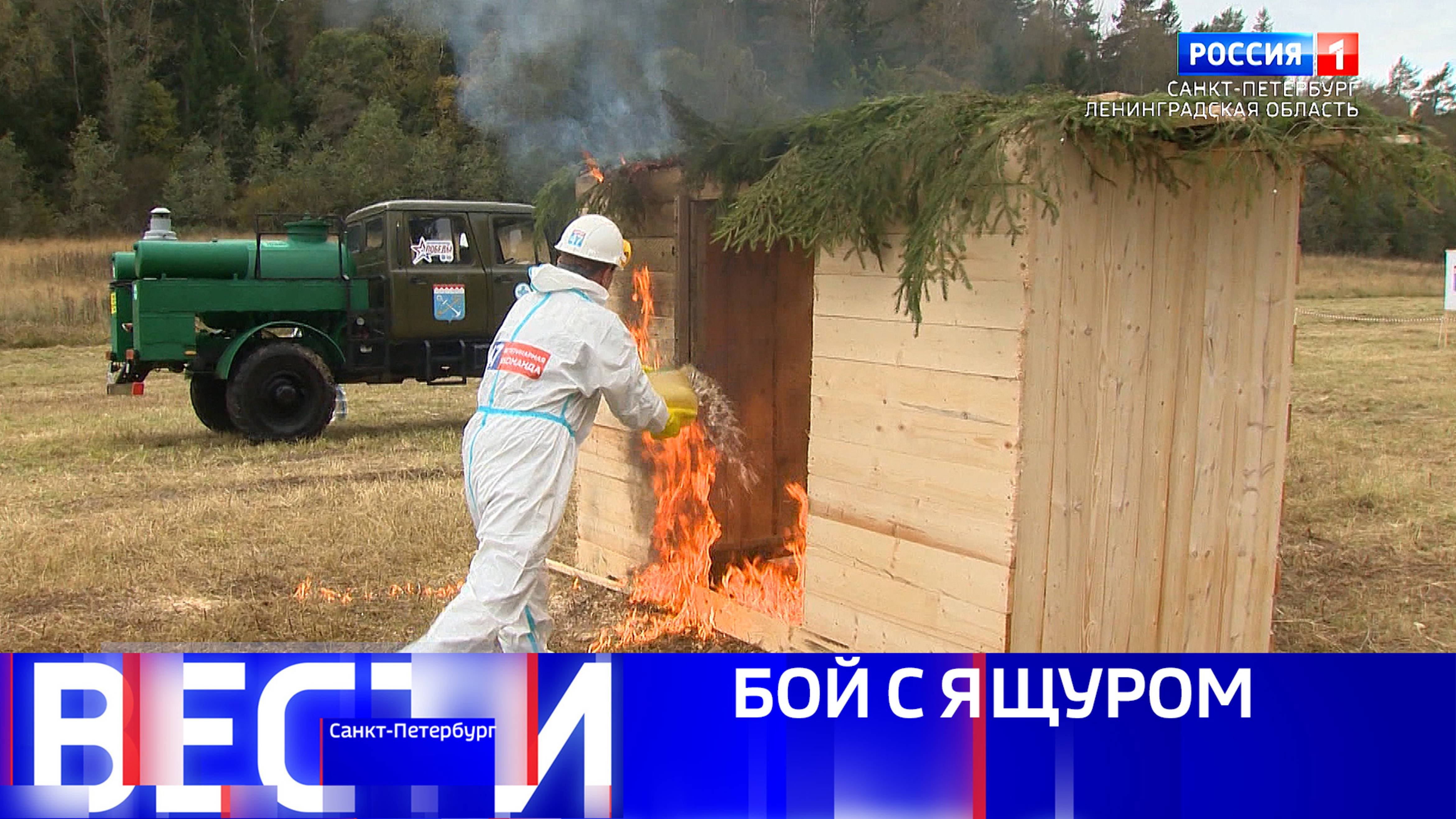 Вести Санкт-Петербург. Выпуск 09.30 от 06.10.2025