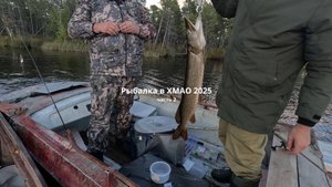 ОЗЁРА ХМАО. ЩУКА,ЯЗЬ,ОКУНЬ. Заготовка рыбы и грибов. Розыгрыш в видео! Часть 2.