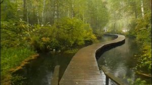 Парк ТОРТУГА