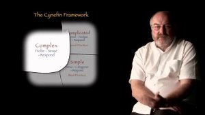 Дэйв Сноуден - Кратко что такое Кеневин фреймворк (Cynefin framework)