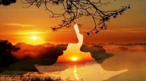 Нежное волнение