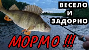 РЫБАЛКА НА МОРМЫШКУ СПИННИНГОМ! МОРМО - ЭТО ВЕСЕЛО И ЗАДОРНО!!!