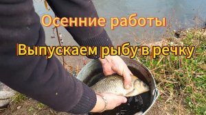 Завершение дачного сезона. Выкачиваем воду из пруда и отпускаем рыбу на волю 😄 Сентябрь. Бурятия