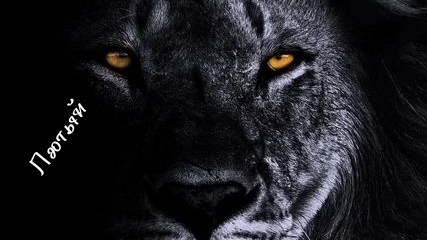 детский санаторий