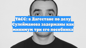 ТАСС: в Дагестане по делу Сулейманова задержаны как минимум три его пособника