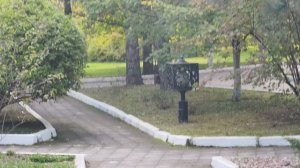 Vivo X200 FE: съёмка в 4К@60к/с на телеобъектив с OIS (3х)