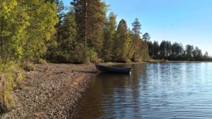 Осенний марафон - 2025