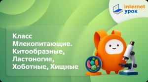 Класс Млекопитающие. Китообразные, Ластоногие, Хоботные, Хищные. Видеоурок по биологии 7 класс