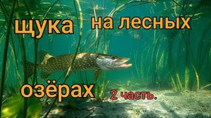 рыбалка на таёжном озере 2 часть.