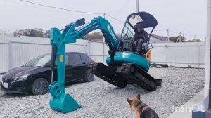 InShot_20251006_132241294.mp4