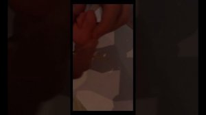 смешная игра в кальмара 2 серия