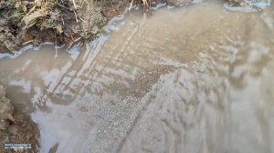 колодец+мыши