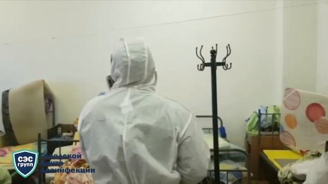 Услуги по уничтожению клопов