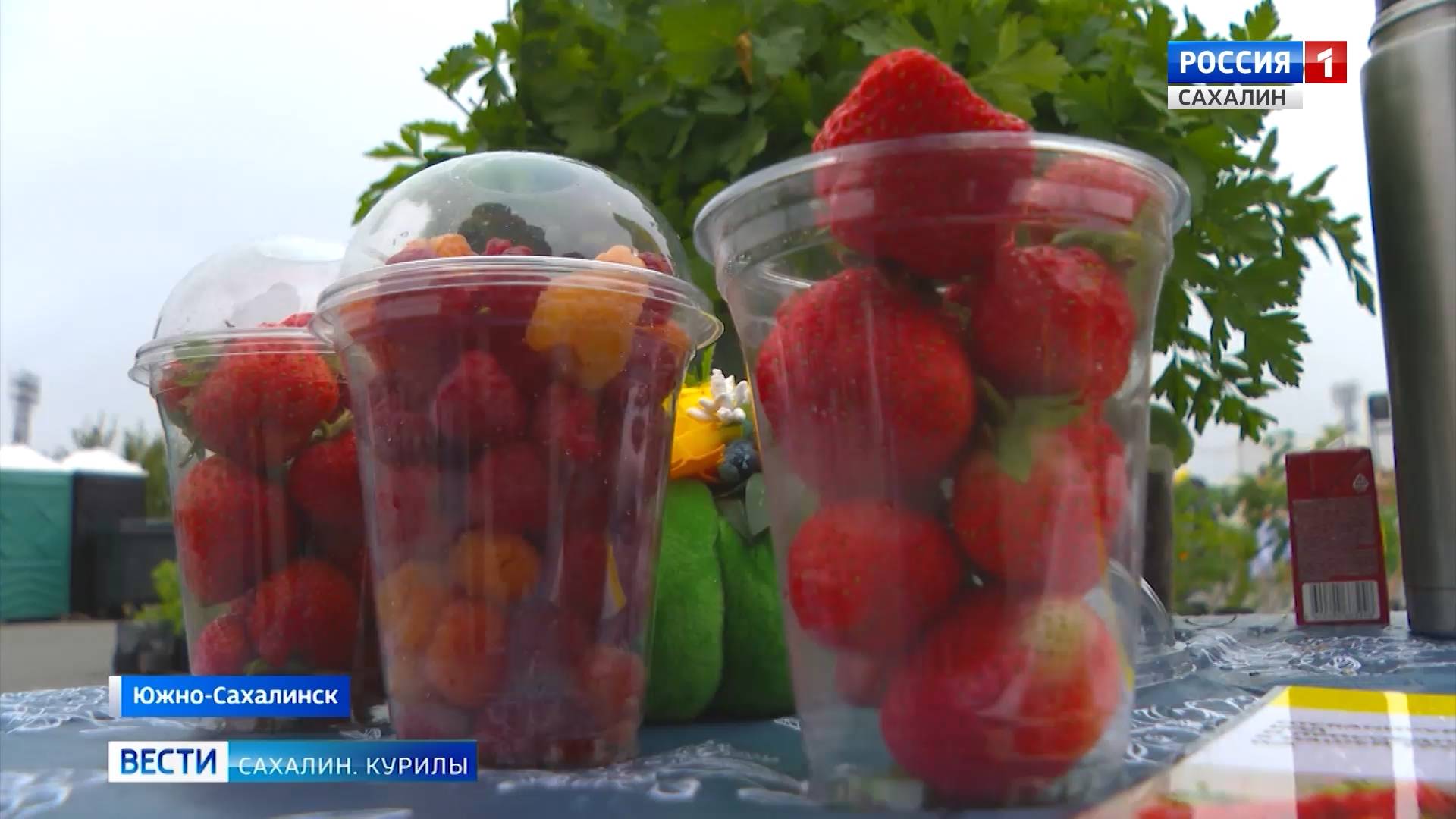 "Вести. Сахалин. Курилы". 4 октября 2025 года смотреть онлайн