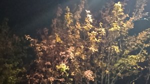 Наконец-то новое видео!