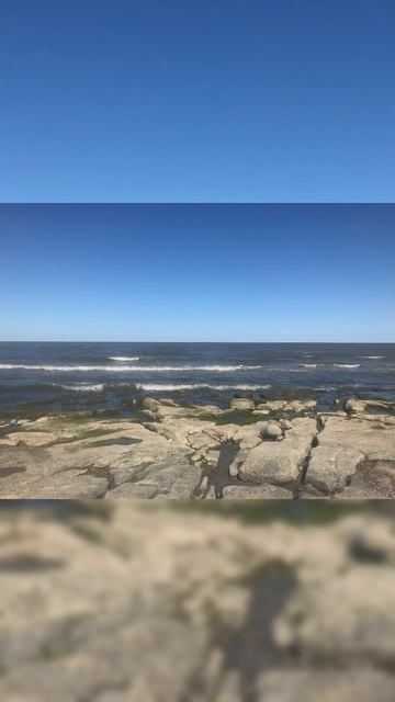 Хотите стать психологом. #новости, #этожизнь, #психология смотреть онлайн