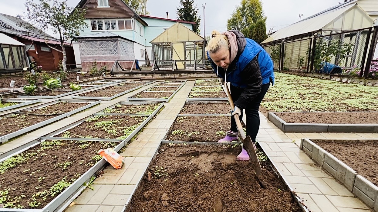 27 сентября. Часть 3. Готовлю грядку под чеснок